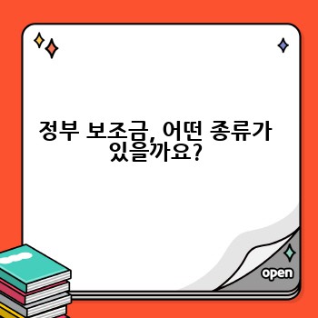 정부 보조금, 어떤 종류가 있을까요?
