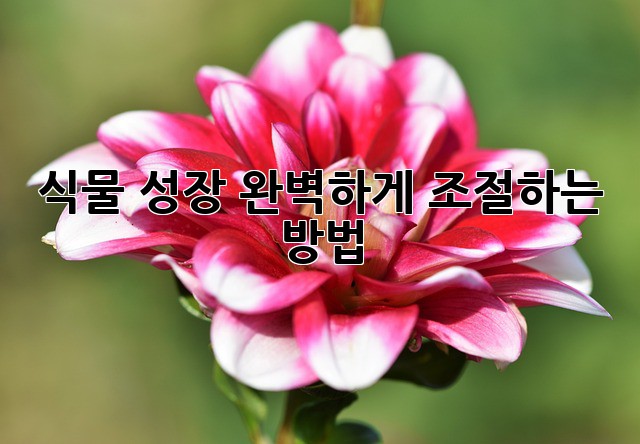 식물 성장, 완벽하게 조절하는 방법
