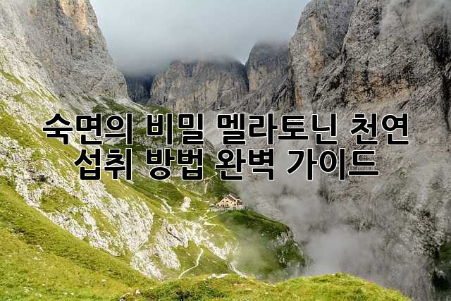 숙면의 비밀, 멜라토닌 천연 섭취 방법 완벽 가이드