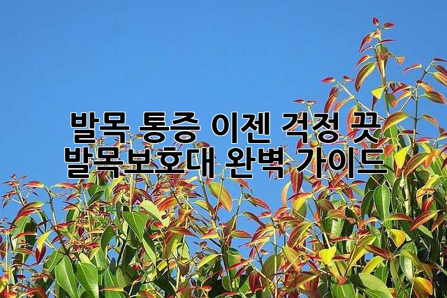 발목 통증? 이젠 걱정 끗! 발목보호대 완벽 가이드