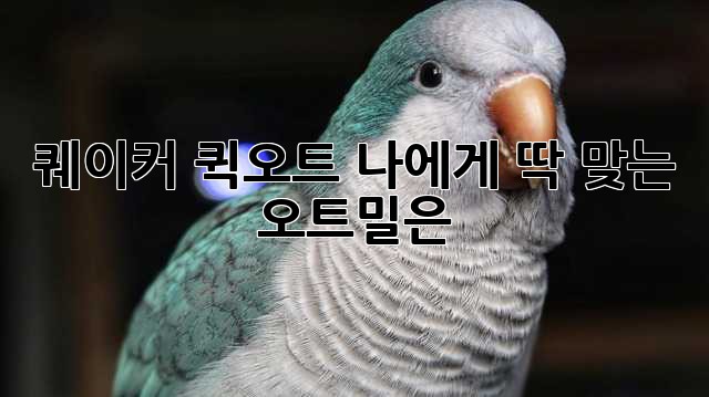 퀘이커 퀵오트: 나에게 딱 맞는 오트밀은?
