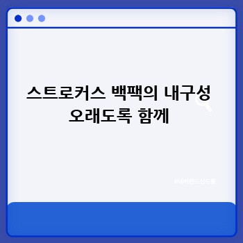 스트로커스 백팩의 내구성 오래도록 함께