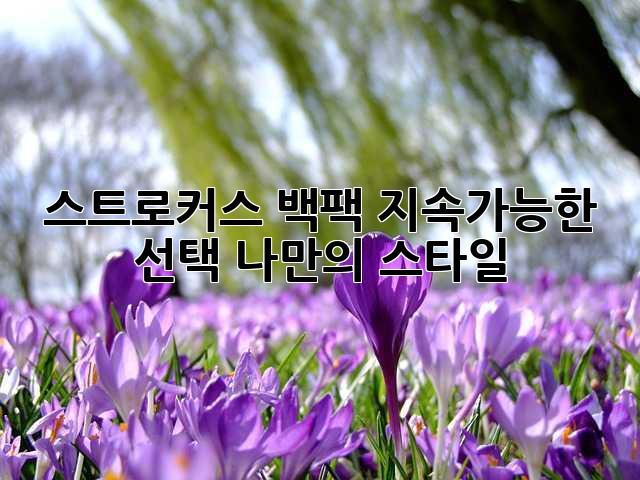 스트로커스 백팩: 지속가능한 선택, 나만의 스타일