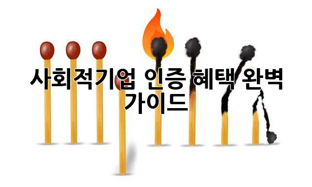 사회적기업 인증, 혜택 완벽 가이드!