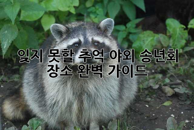 잊지 못할 추억, 야외 송년회 장소 완벽 가이드!