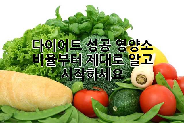 다이어트 성공, 영양소 비율부터 제대로 알고 시작하세요!