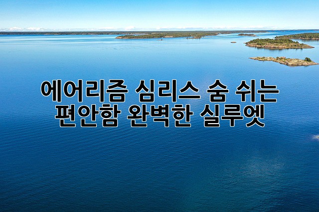 에어리즘 심리스: 숨 쉬는 편안함, 완벽한 실루엣