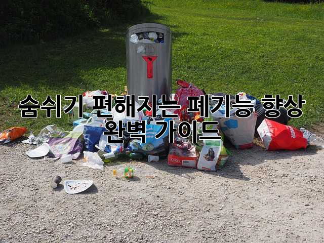 숨쉬기 편해지는 폐기능 향상 완벽 가이드